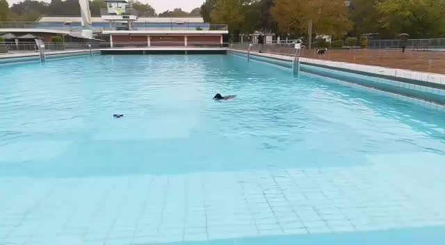 Foto Wettbewerb-Beitrag-Bild