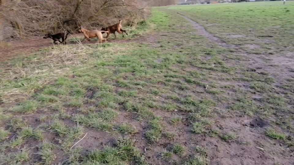 Spieltrieb ;)-Beitrag-Bild