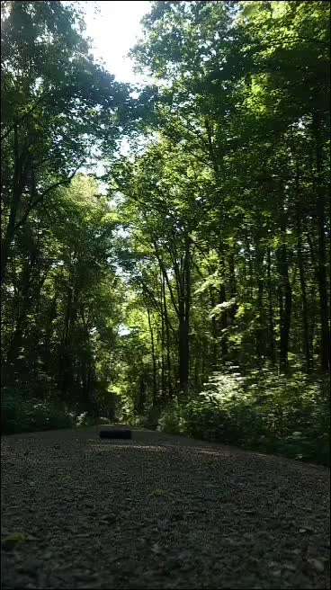 Dummy Training-Beitrag-Bild