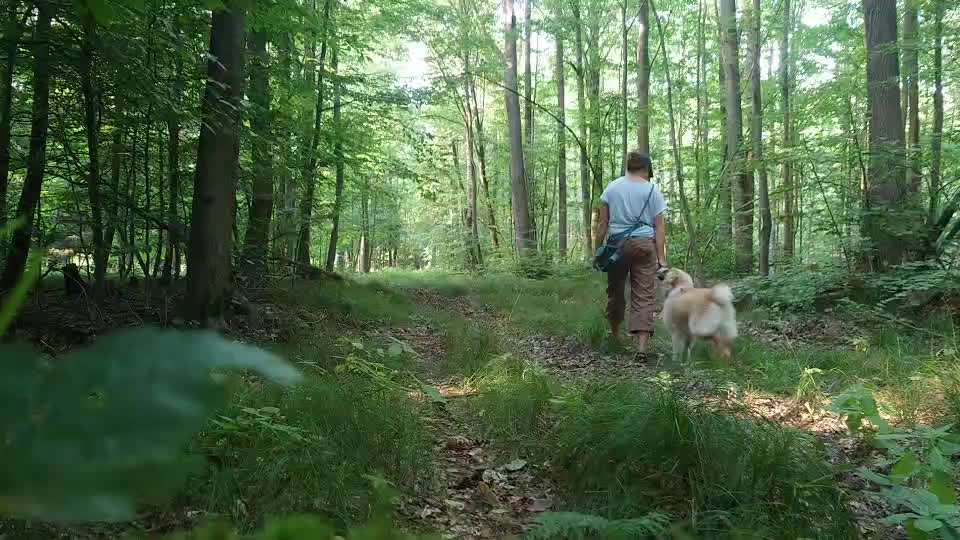 Dummy Training-Beitrag-Bild