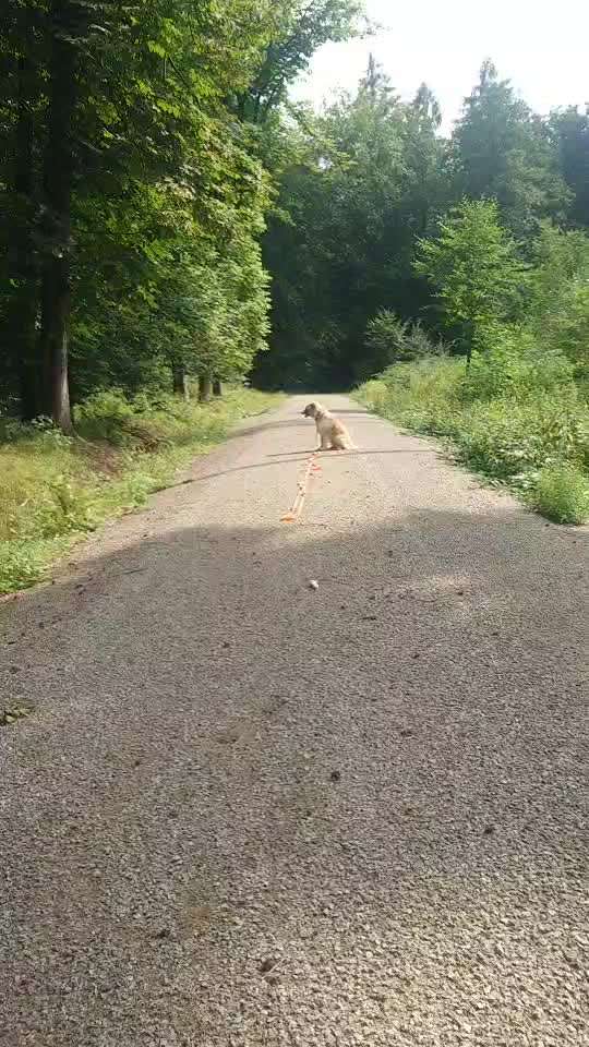 Dummy Training-Beitrag-Bild