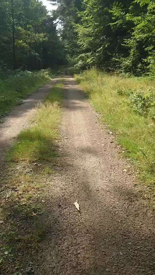 Dummy Training-Beitrag-Bild