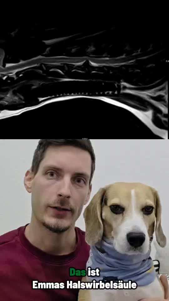 Bandscheibenvorfall & 6.000€ OP-Kosten – Wie steht ihr zur Krankenversicherung?-Beitrag-Bild