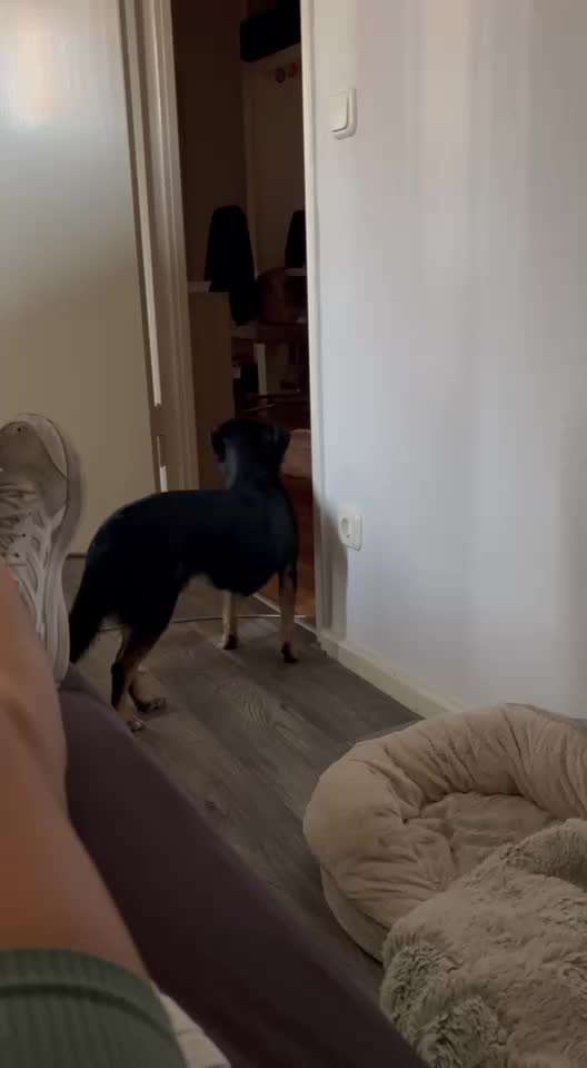 Bellen in der Nacht-Beitrag-Bild