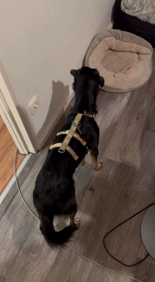 Bellen in der Nacht-Beitrag-Bild