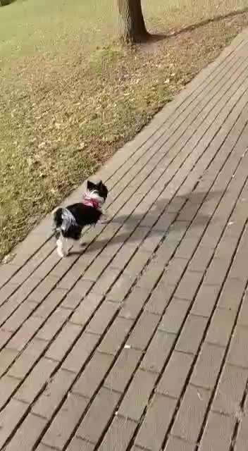 Wie durchsetzen bei Ungehorsam?-Beitrag-Bild