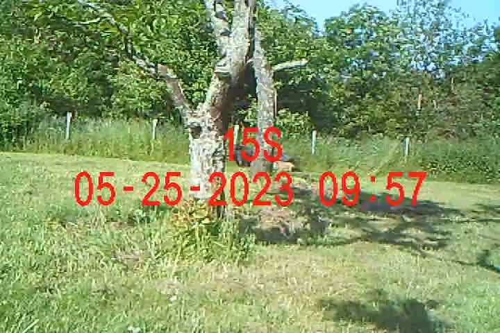 Leinenpflicht während Brut und Setzzeit-Beitrag-Bild