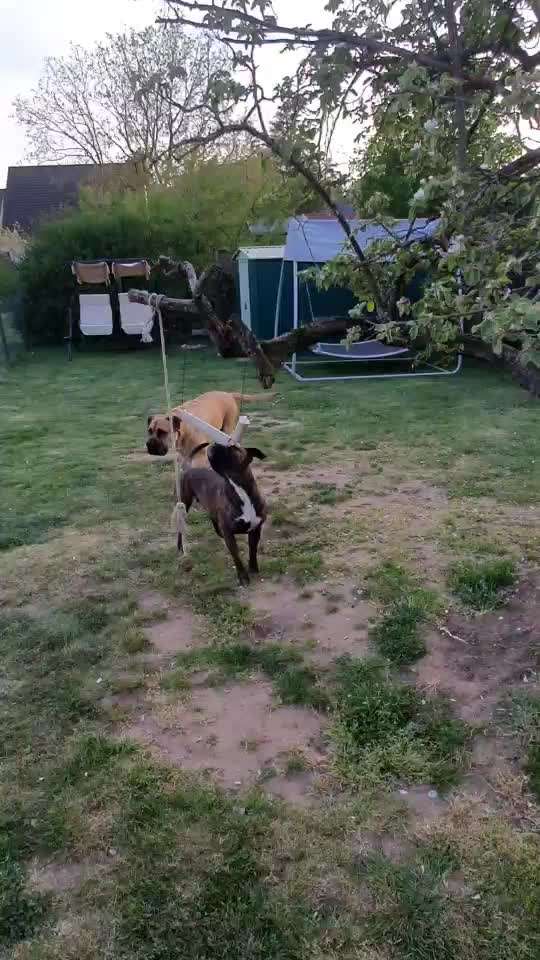 Schnüffelspiele Ideen.-Beitrag-Bild