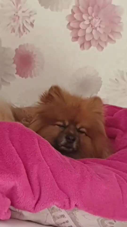 Die unbequemsten und lustigsten Schlafpositionen-Beitrag-Bild