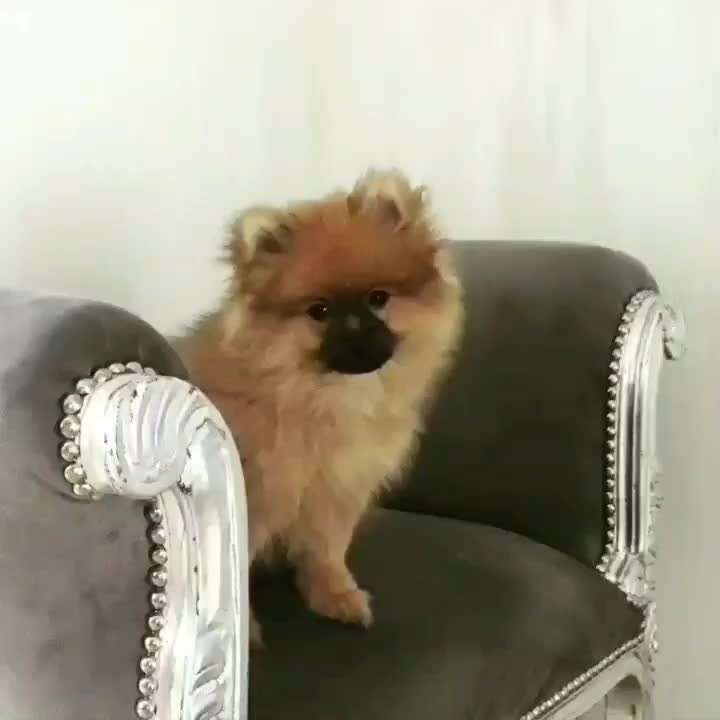 Vorher.... Nachher-Beitrag-Bild