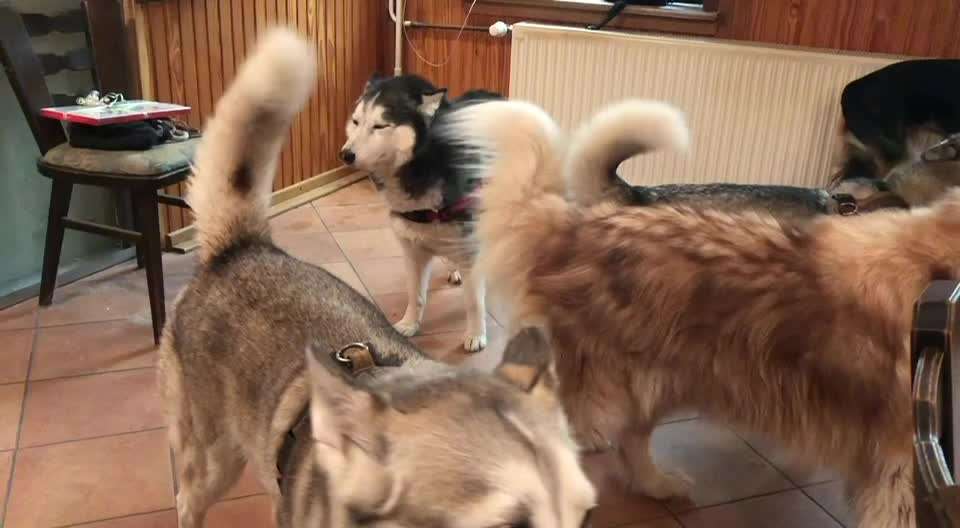 Bell Konzert-Beitrag-Bild