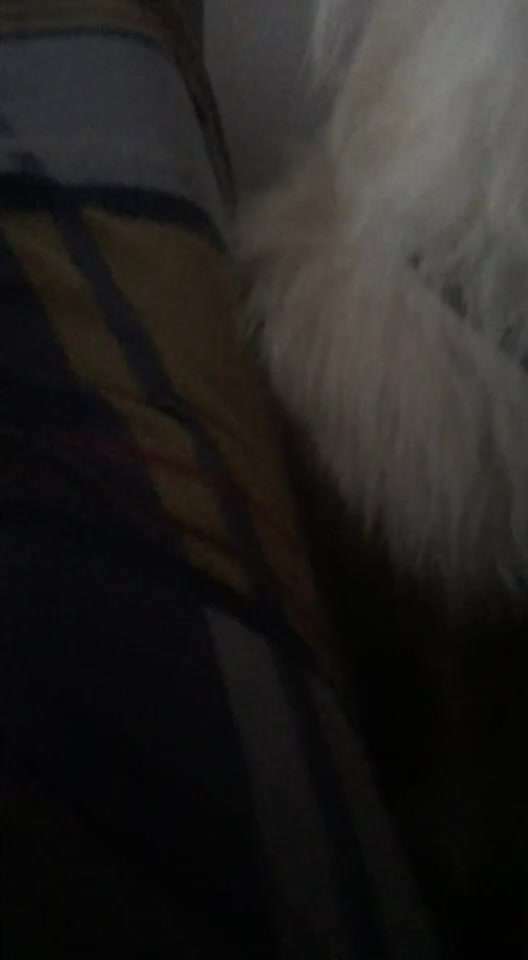 Bell Konzert-Beitrag-Bild