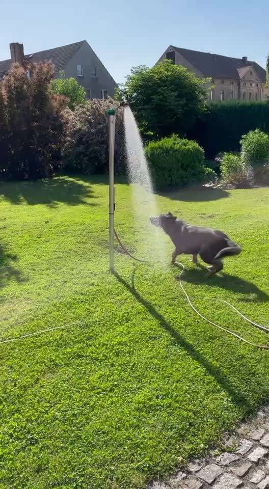 Handy Video Challenge Nr. 31: Wasser-Beitrag-Bild