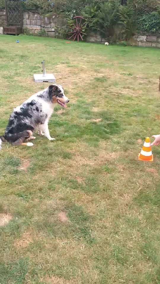 Dummysport Einzelperson-Beitrag-Bild