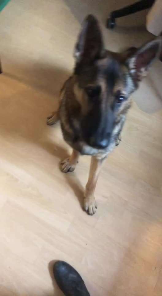 𝕋ℝ𝕀ℂ𝕂 ℂℍ𝔸𝕃𝕃𝔼ℕ𝔾𝔼 ℕℝ. 𝟙-Beitrag-Bild