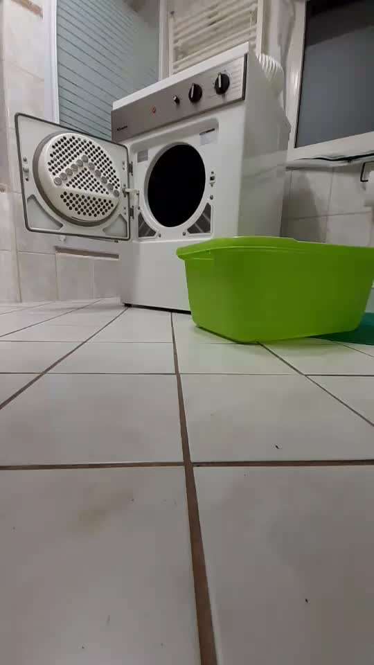 Assistenzhund-Beitrag-Bild