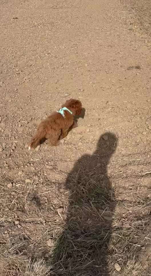 Aggressivität ?-Beitrag-Bild