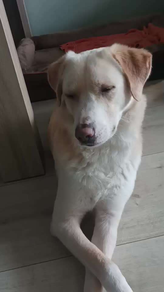 Augen blinzeln-Beitrag-Bild