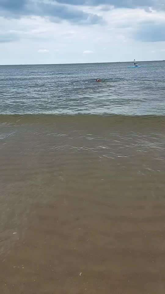 50. Video Challenge - Wasserscheu oder nicht-Beitrag-Bild