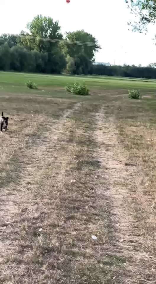 15. Video Challenge.  In SloMo die Welt erkunden!-Beitrag-Bild