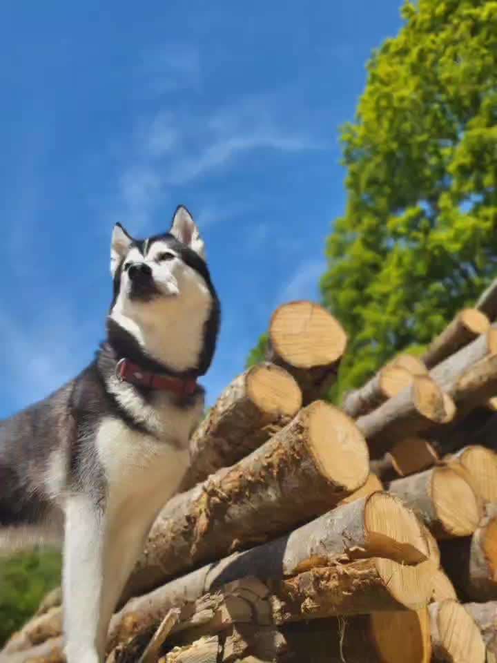 Fotowettbewerb Natur-Beitrag-Bild