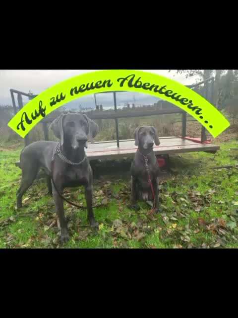 23. Kurzgeschichten - Auf zu neuen Abenteuern-Beitrag-Bild