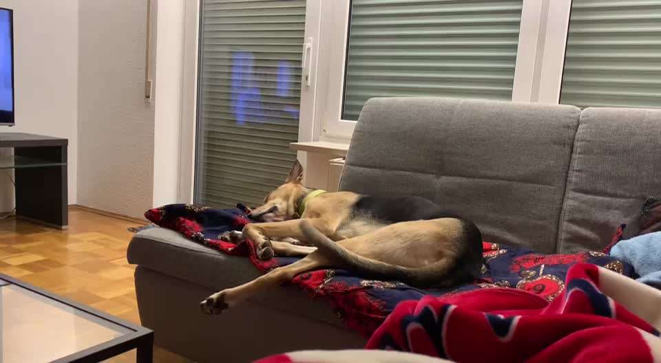 40. Handy Video Challenge - Im Land der Träume-Beitrag-Bild