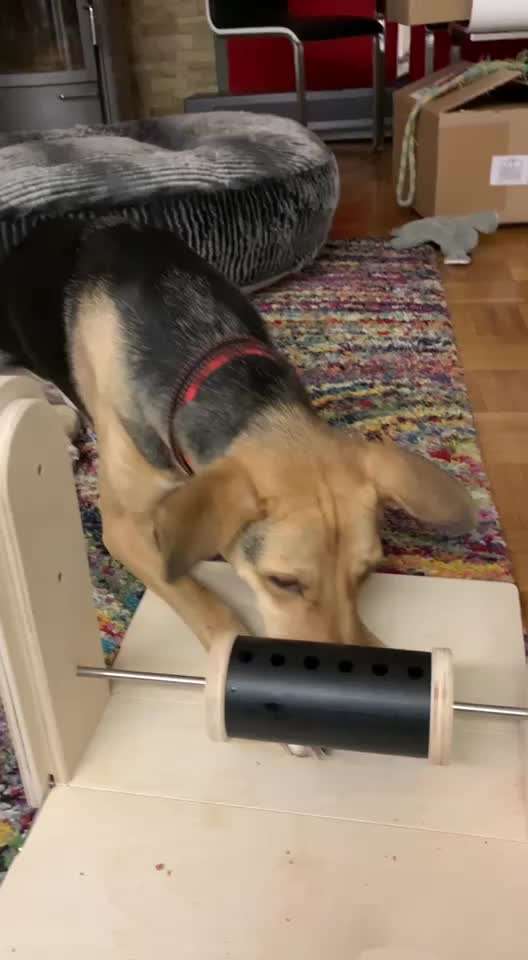 Handy Video Challenge Nr.36 Indoorbespaßung-Beitrag-Bild