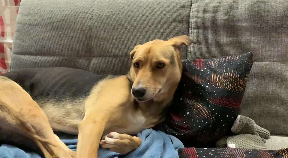 Zähneklappern-Beitrag-Bild