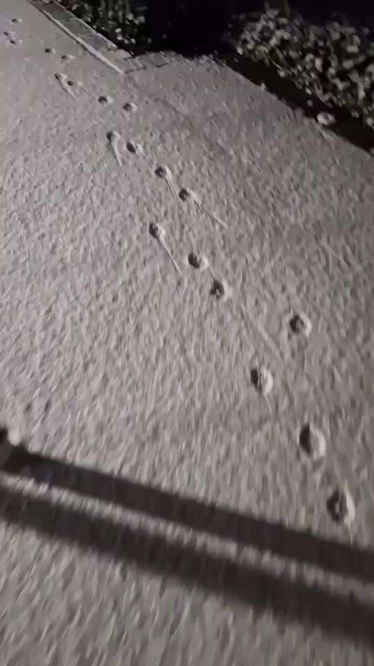 Gangbild/-analyse-Beitrag-Bild