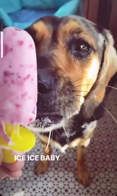 Tongue Out Tuesday-Beitrag-Bild