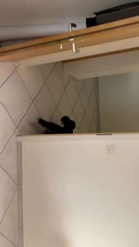 Was könnte dies sein-Beitrag-Bild