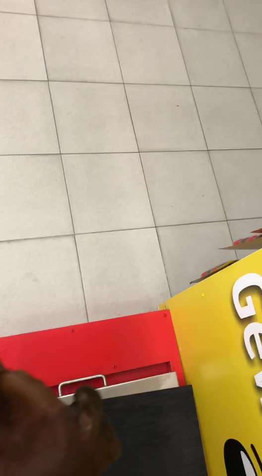 Rhodesian Ridgeback-Beitrag-Bild