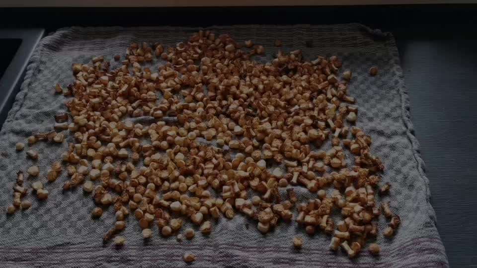 Heute gibt es.....der "ich mach die Leckerlis-Selber-Thread"-Beitrag-Bild