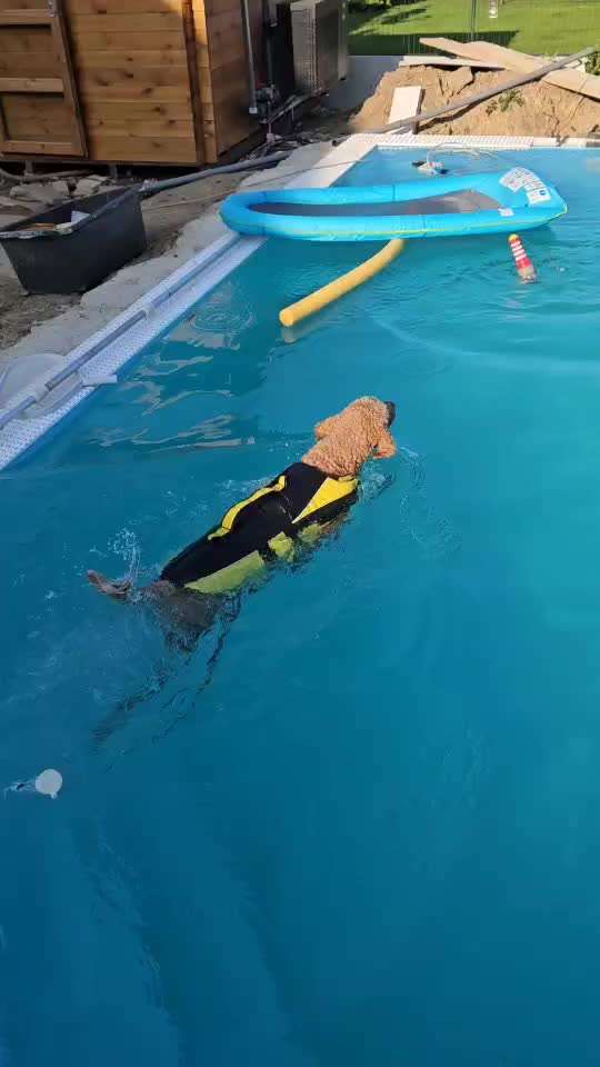 Passform Schwimmweste-Beitrag-Bild