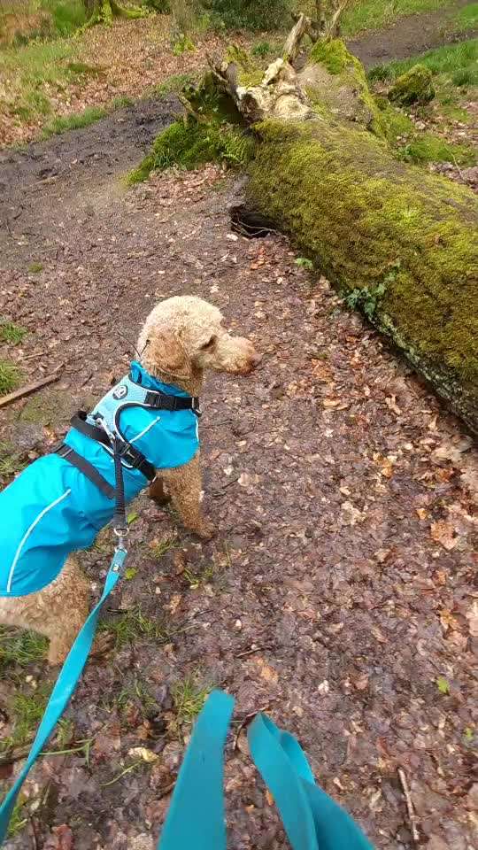 Trick Spiel - Koffer packen - der 17.-Beitrag-Bild