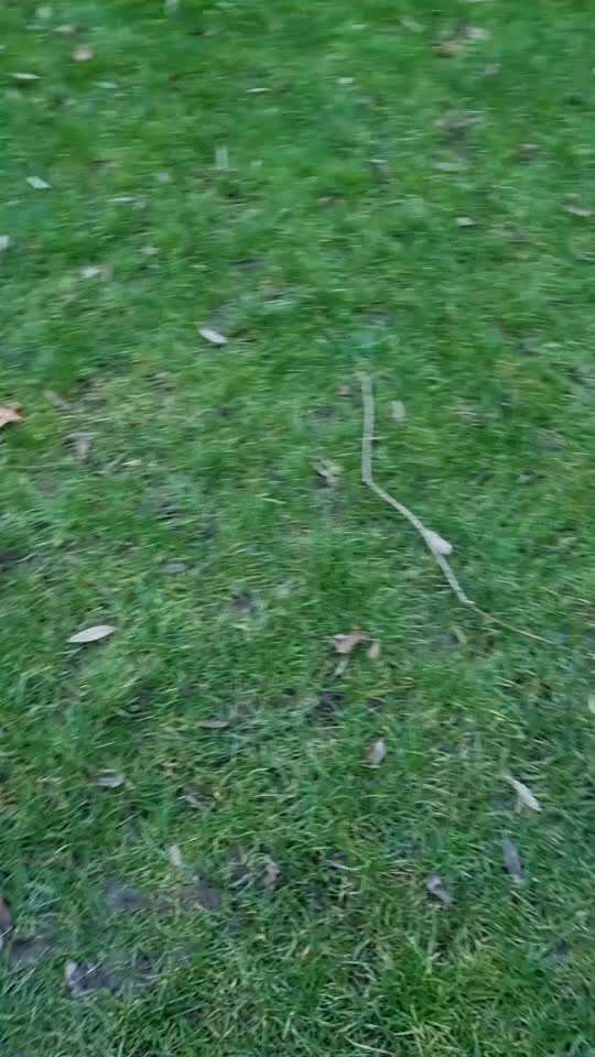 Trick Challenge ABC-Beitrag-Bild