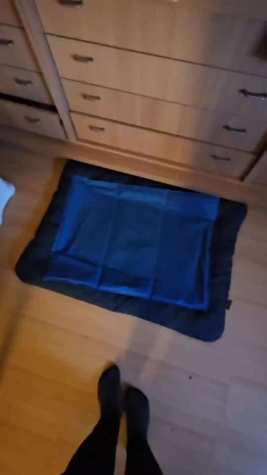 Trick Spiel - Koffer packen - der 18.-Beitrag-Bild