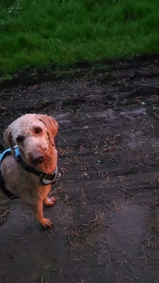 Trick Spiel - Koffer packen - der 17.-Beitrag-Bild