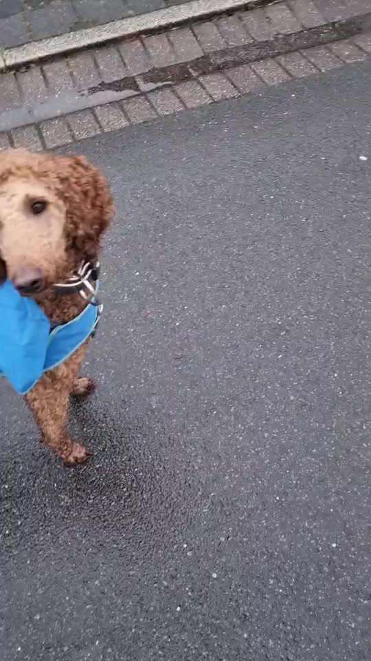 Trick Challenge ABC-Beitrag-Bild