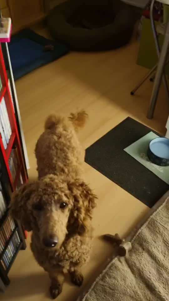 Trick Challenge ABC-Beitrag-Bild