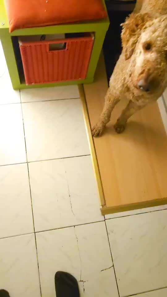 Trick Spiel - Koffer packen - der 16.-Beitrag-Bild