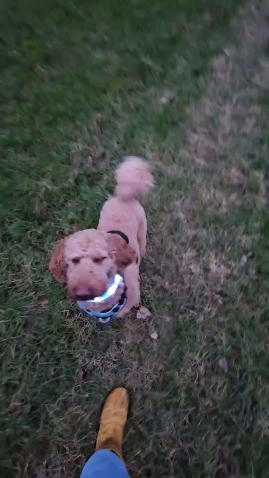 Trick Spiel - Koffer packen - der 14.-Beitrag-Bild