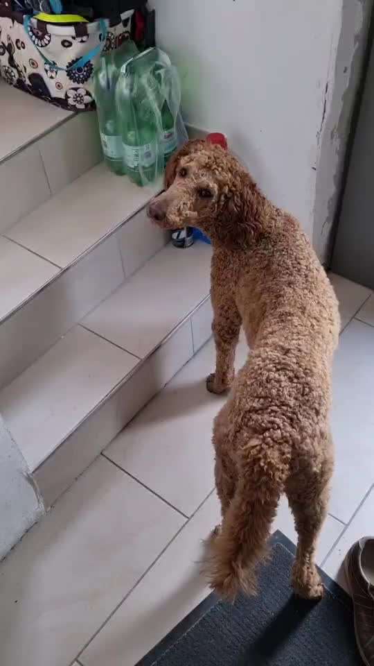 Trick Challenge ABC-Beitrag-Bild