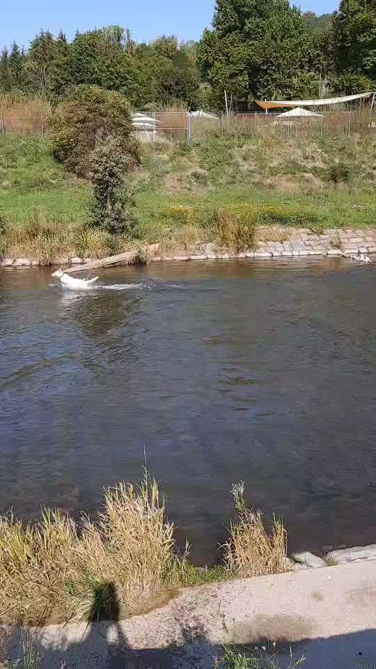 35. Handy Foto Challenge - Das nasse Element-Beitrag-Bild