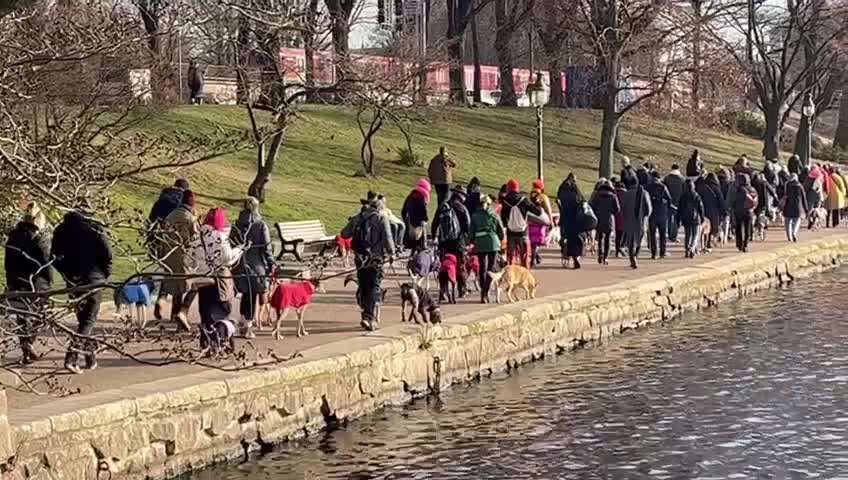 Windhunde - Treffen der besonderen Schönheiten
HERZLICH WILLKOMMEN-Beitrag-Bild