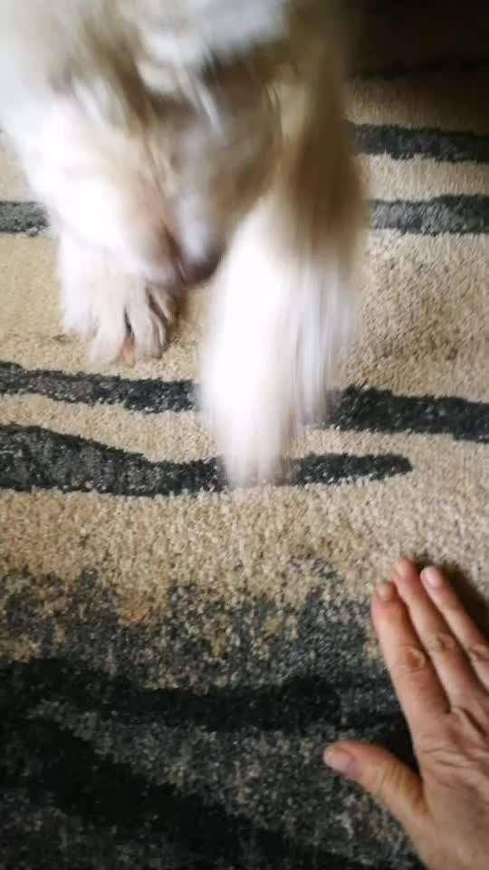 Impulskontrolle Challenge Nr.: 7
         "Gesellschaftsfähig"-Beitrag-Bild