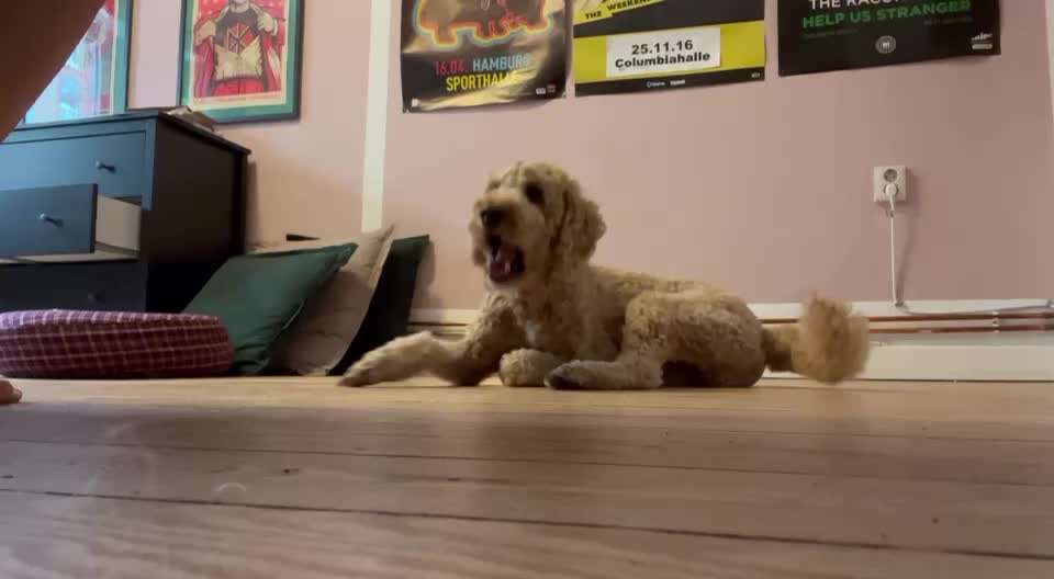 Trick Challenge - ich packe meinen Koffer-Beitrag-Bild