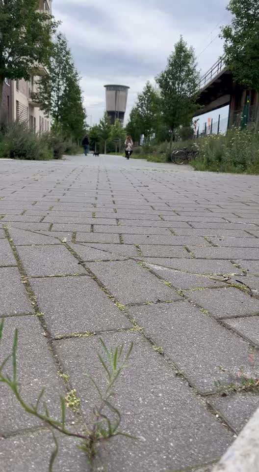 Was hat euch heute gefreut?-Beitrag-Bild