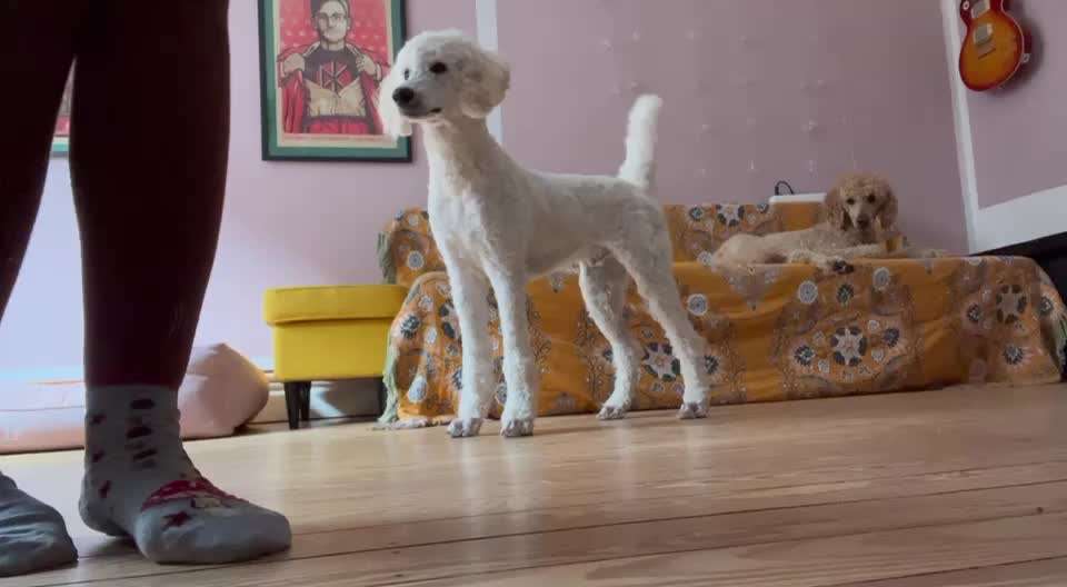 Trick Spiel - Koffer packen - der 16.-Beitrag-Bild